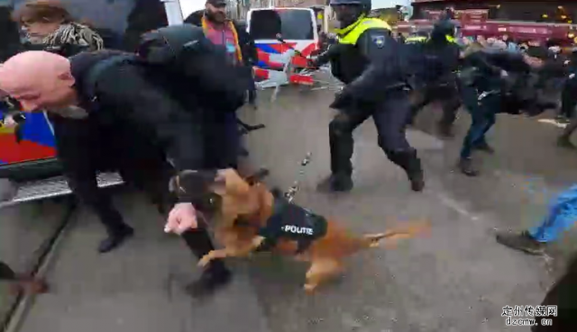 荷兰首都爆发反封锁抗议，警察放狗撕咬示威者